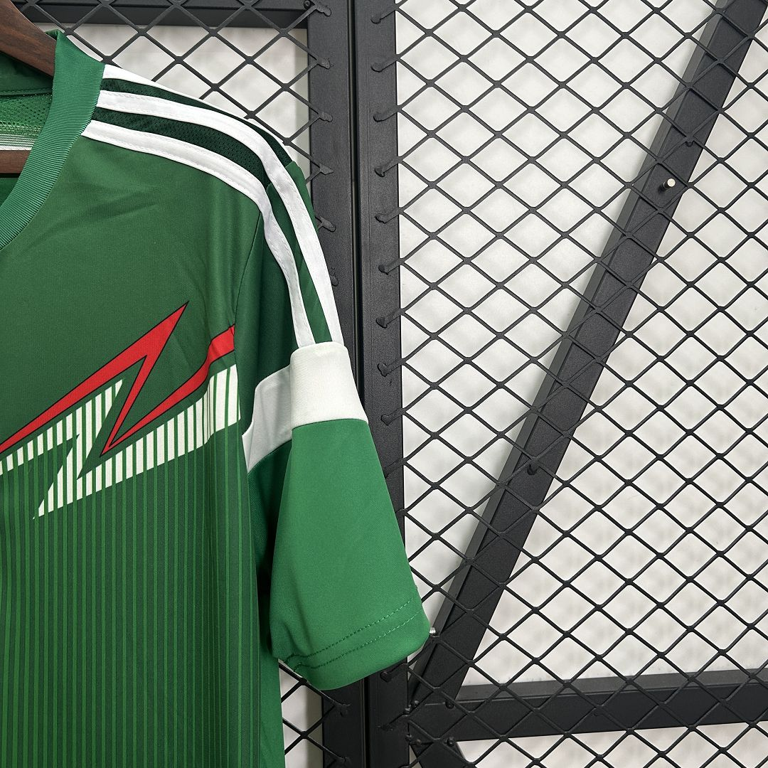 Mexico 2014 Home Kit