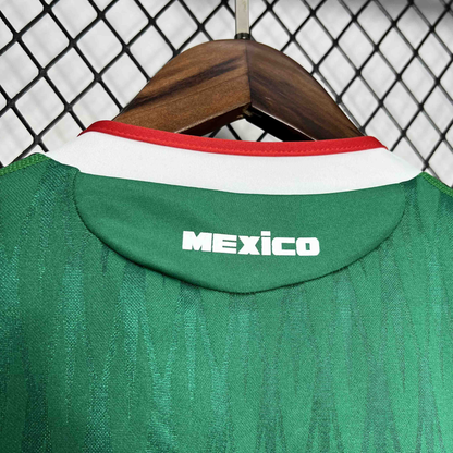 Mexico 2010 Home Kit