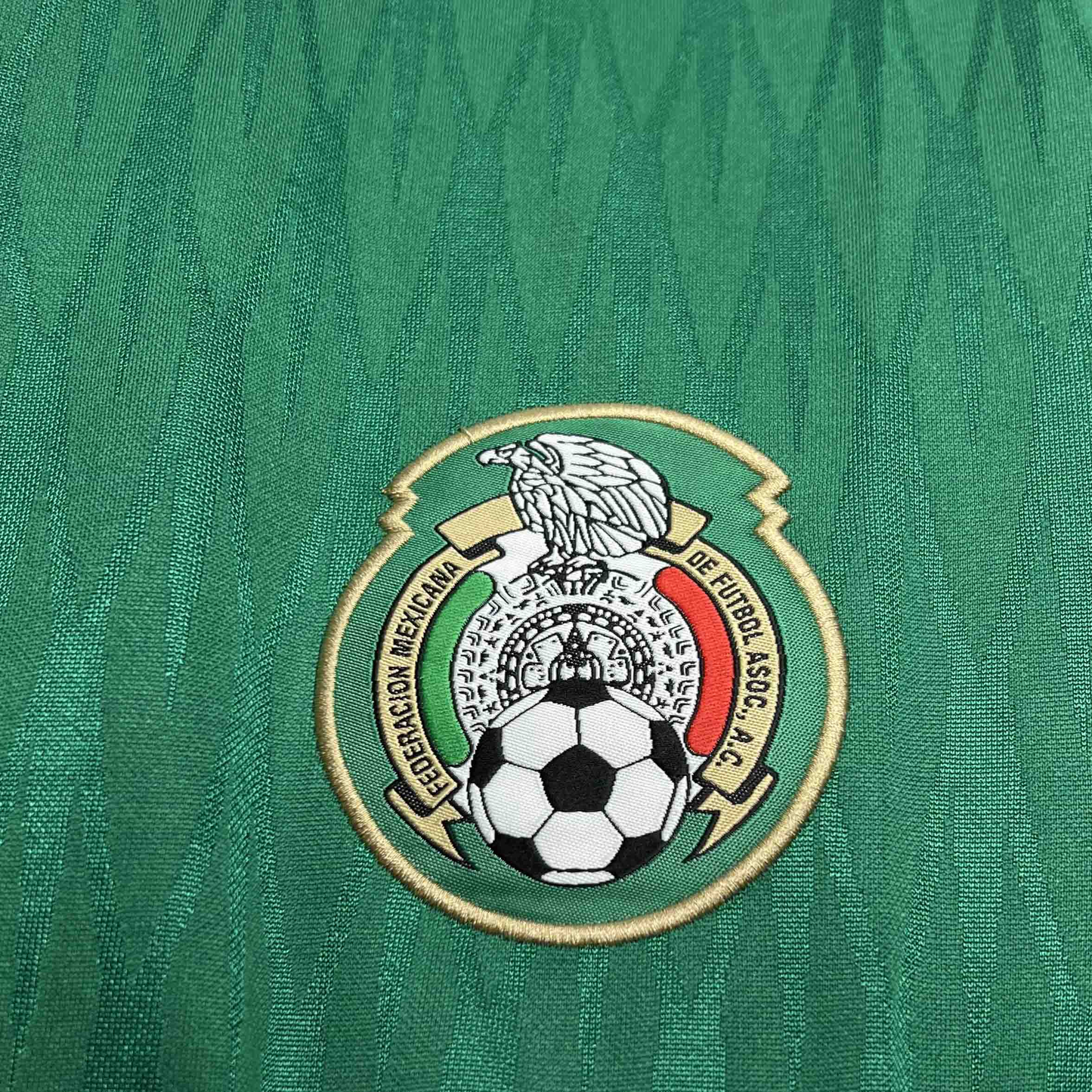 Mexico 2010 Home Kit